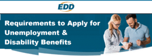 UI SDI Online Eligibility Requirements